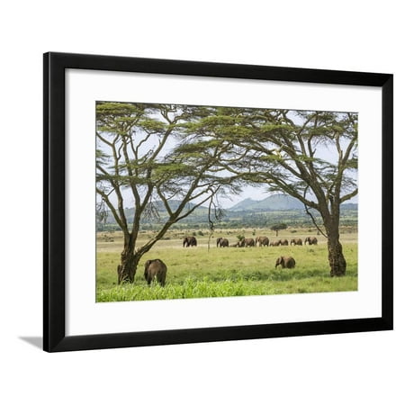  Kenya  Meru County Framed Print Wall Art  By Nigel Pavitt 