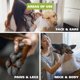thumbnail image 3 of Toallitas para perros Wahl Refresh Massive para limpieza y control de olores, 3 of 9
