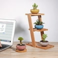 thumbnail image 5 of Mightlink Small Ceramic Succulent Planter Pot with Drainage Hole, Ice Crack Glaze Porcelain Handicraft Plant Container Gift for Home Office Desk Decoration - Random Color, 5PCS, 5 of 8
