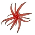 thumbnail image 4 of Mainstays Artificial Air Plant Pick 4.75 inch x 7 inch Red, 4 of 5