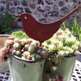 thumbnail image 5 of Garden Decor Rusty metal garden birds, Sparrow, Robin, Blackbird, Blue tit, Yard Art for Outdoor, Patio, Home, Fence, Farmhouse, 5 of 7