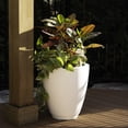 thumbnail image 4 of Mayne Caprio 16" x 16" x 18" Round White Tall Self-Watering Polyethylene Planter, 4 of 6