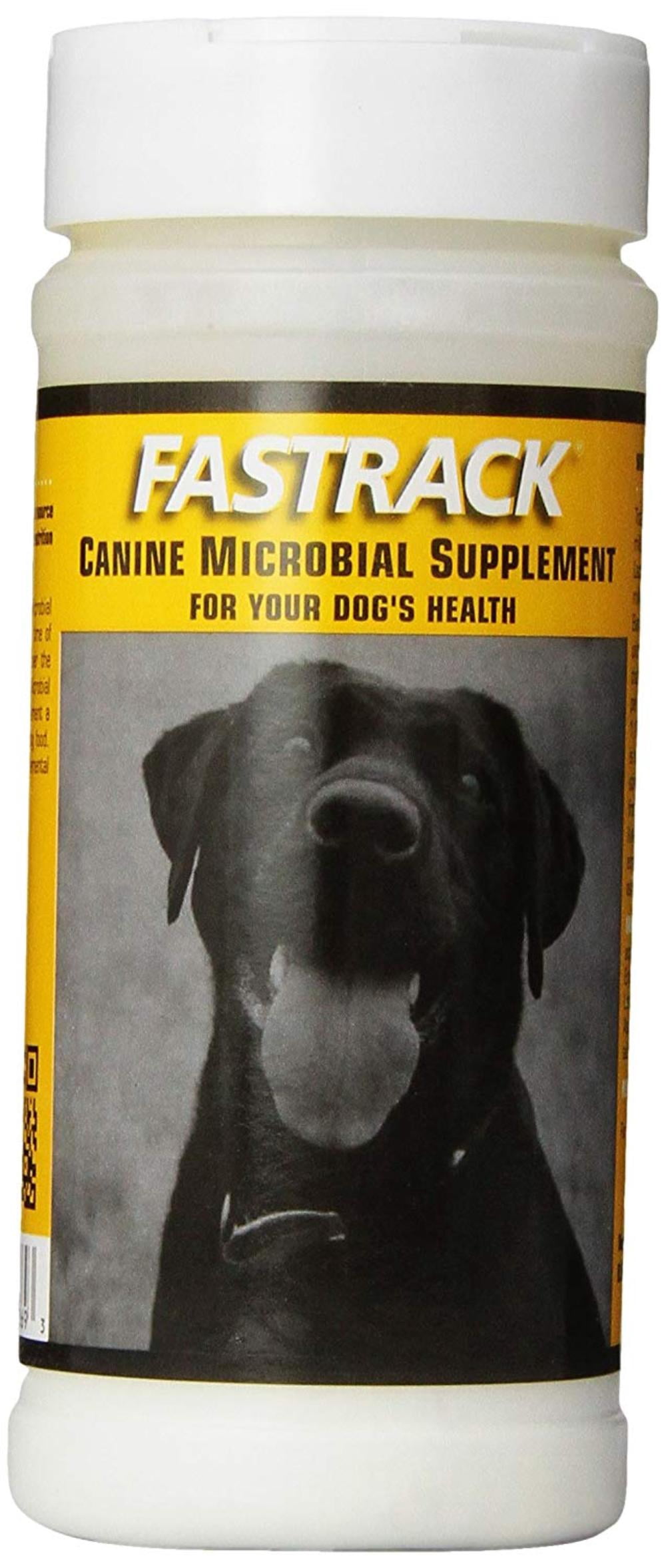 fastrack probiotic for dogs
