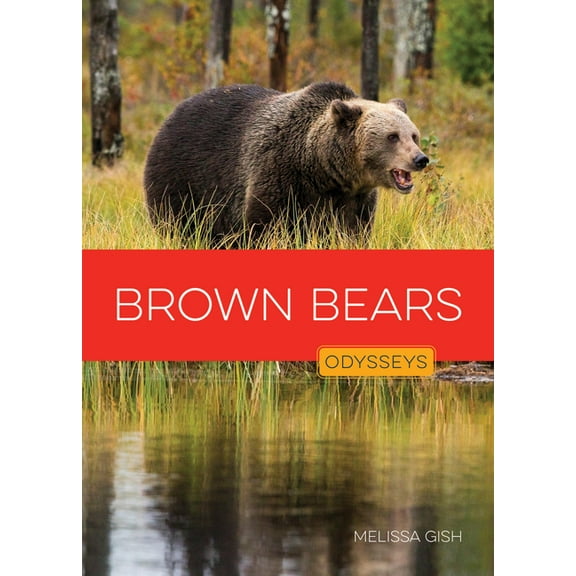 Brown Bears, (Paperback)