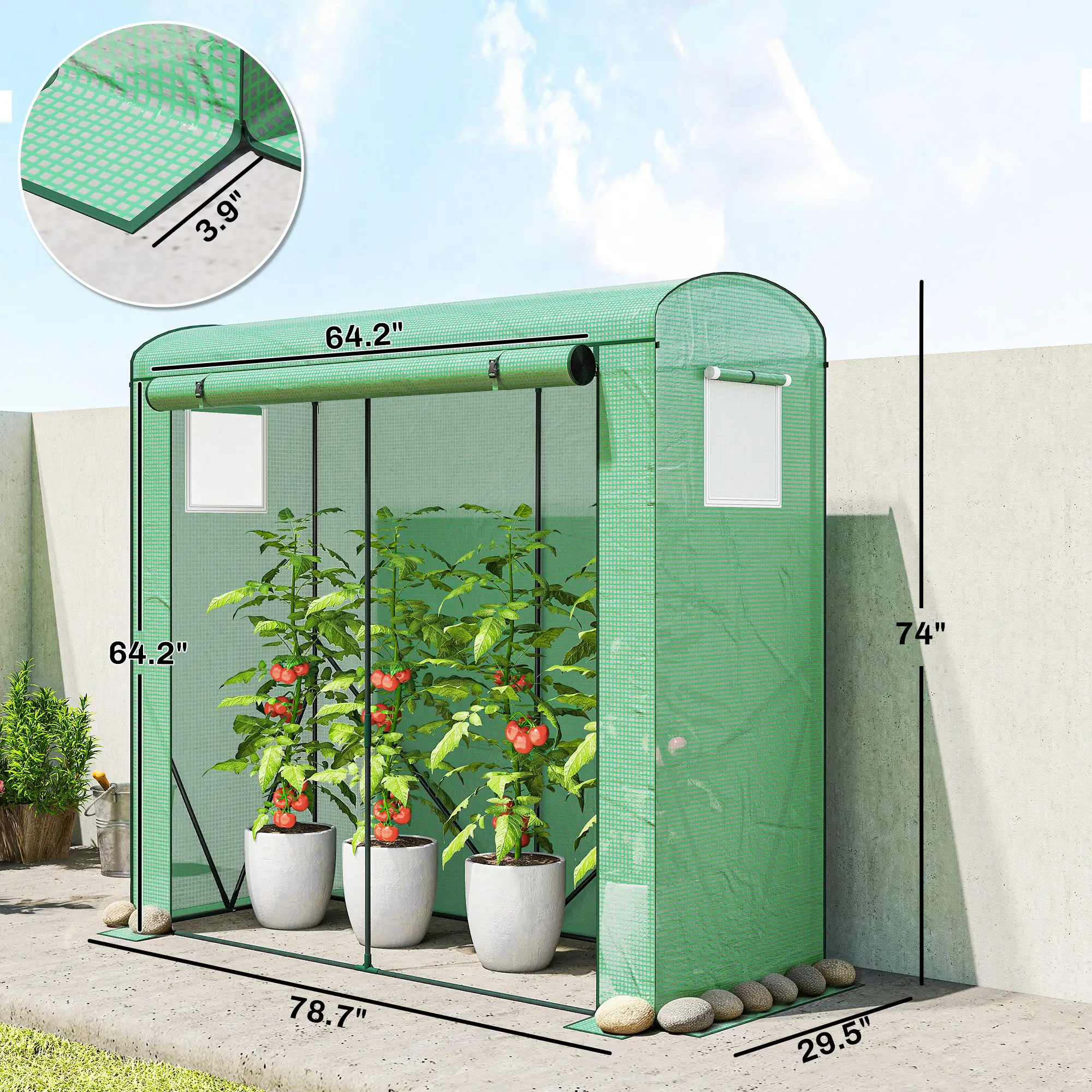 Walk-in Greenhouse with 140gsm PE Cover, Roll-Up Door & Mesh Windows, Powder-Coated Steel Frame, Windproof Level 4 for Outdoor Plants