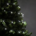 thumbnail image 5 of 50 T5 LED Cool White Mini Christmas Light Set, 4" Spacing, 17', Christmas Tree Lights White (Cool White, 17 Ft), 5 of 8