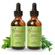 thumbnail image 1 of Mielle Organics Sunnydaze Decor MIELLE Colección Romero Mint (aceite, 2 piezas), 1 of 7