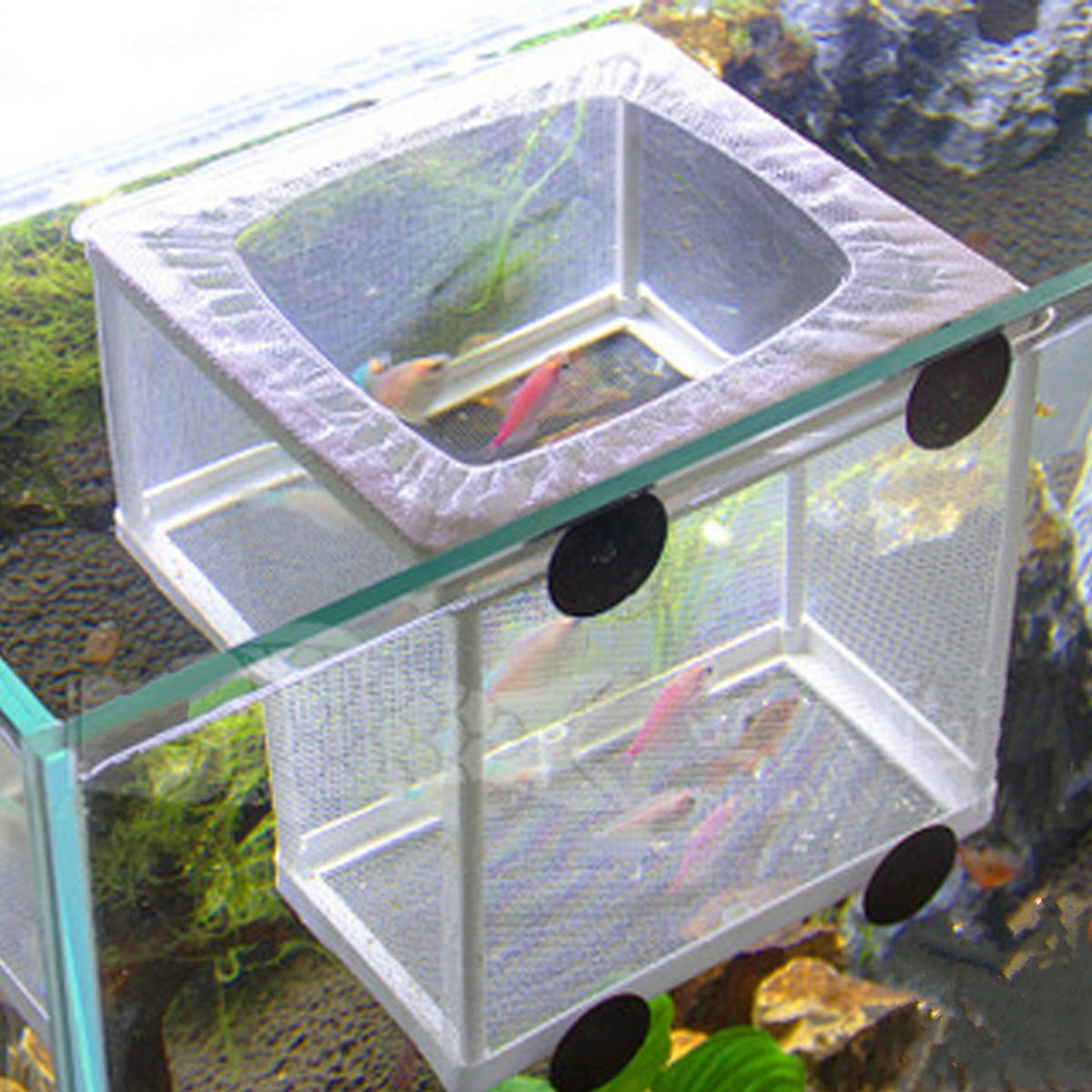 New Aquarium Fish Tank Breeding Breeder Baby Fish Fry Net Trap Hatchery Net Box Walmart