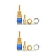 thumbnail image 1 of Scienceny Adaptador de reemplazo de soldadura TIG de conector rápido refrigerado por aire para manguera M6 dorada Azul 2piezas, 1 of 6