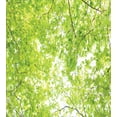 thumbnail image 3 of Leaves Duvet Cover Set, Fresh Summer Branches Leaves of a Tree Epic View from the Ground Growth Botanical Picture, Decorative 3 Piece Bedding Set with 2 Pillow Shams, King Size, Green, by Ambesonne, 3 of 3