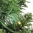 thumbnail image 4 of Northlight Northern Pine Full Pre Lit Christmas Tree, 4 of 5