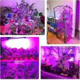 thumbnail image 5 of Spectrum Indoor Grow S, 80 Led Grow S Grow S With R, 5 of 5