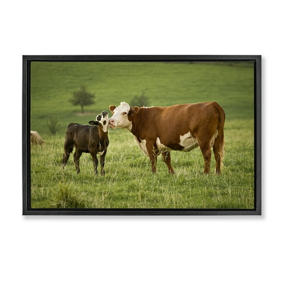 Stupell Industries Cow & Calf Preening Animals Photography Black Floater Framed Canvas Art Print Wall Art, 25 x 17