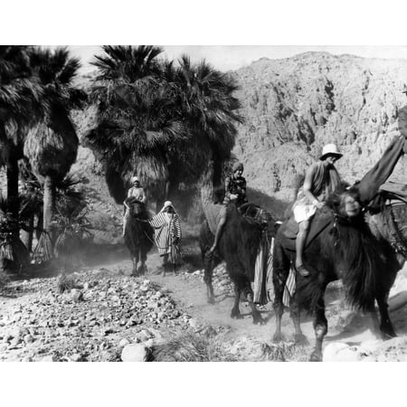 Camel Riders In California. The Camels Were Introduced To The Planned