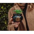 thumbnail image 3 of Harry Potter Hogwarts Cauldron 3-Inch Ceramic Mini Planter with Artificial Succulent | Small Flower Pot, Faux Indoor Plants, 3 of 7