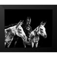thumbnail image 2 of PHBurchett 24x20 Black Modern Framed Museum Art Print Titled - Donkey Portrait II, 2 of 5