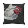 thumbnail image 2 of Ahgly Company Animals Chicken Indoor Throw Pillow, 18 inch by 18 inch, 2 of 6