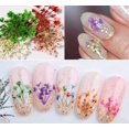 thumbnail image 3 of 12-Color Real Dried Flower Nail Art Set – 3D DIY Manicure Decorations for Unique, Salon-Quality Nails TIKA, 3 of 3
