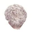thumbnail image 2 of Cptfadh Human Hair Wigs For Women Women's Fashion Wig Hairshort Wave Wig Wigs SilverSynthetic hair wig, 2 of 6
