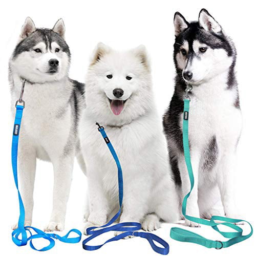 azuza 3 Pack Nylon Dog Leashes,Strong & Durable Basic Style Leash with Easy to Use Collar Hook,Available in Multiple Lengths for Puppy Small Medium and Large Dogs Royal Blue/Blue/ Wathet 