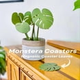 thumbnail image 2 of Posavasos Monstera Planta Antideslizantes, Juego de Monstera, Plantas Hojas Tropicales Decoración del Hogar,, 2 of 7