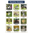 thumbnail image 7 of AT-A-GLANCE 2024 Puppies Monthly Wall Calendar Large 15 12 x 22 34 - Wall, 7 of 7
