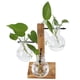 thumbnail image 5 of Jarrón hidropónico innovador Nikou con soporte de madera florero transparente de escritorio 11x8,5x21cm, 5 of 15