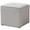 Light Gray, variant on Bowery Hill Modern 16" Square Ottoman in Dark Gray