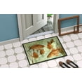thumbnail image 4 of Carolines Treasures 8983MAT Tapis de Natation Poisson Rouge Intérieur Ou Extérieur - 18 x 27 Po., 4 of 4