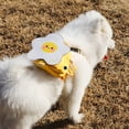 thumbnail image 5 of Mochila para cachorros con correa, bolsa multifuncional para golosinas para mascotas, perro, gato, Navidad (Color: Blanco Tamaño: Pecho 25-41cm), 5 of 5