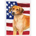 thumbnail image 1 of Carolines Treasures BB9676CHF Rhodié Ridgeback Patriotique Drapeau Toile Maison Taille, 1 of 4