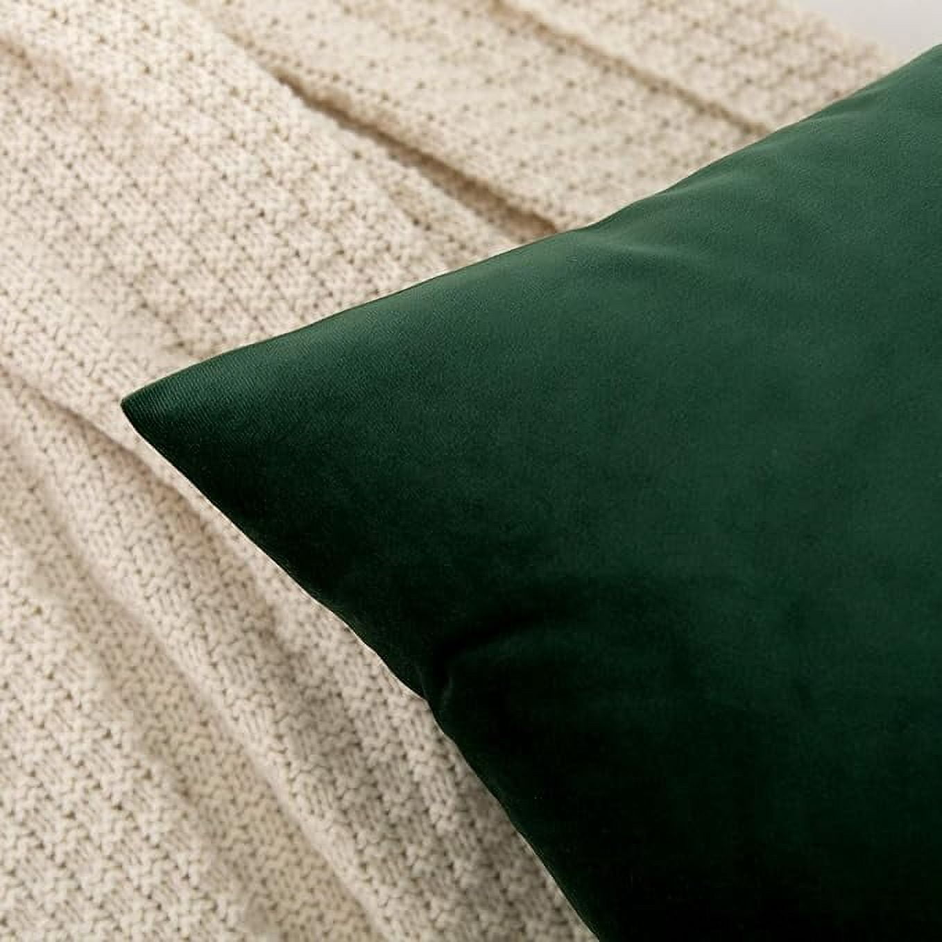 Cterwk Super Soft Velvet Square Throw Pillow Covers Decorative Cushion Cover for Bed Couch Sofa, 24x24inch, Set of 2
