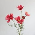 thumbnail image 1 of Rocío fresco flor artificial pequeña flor de seda color primavera pequeño crisantemo persa flor Gesang, 1 of 6