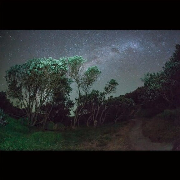 Esben and the Witch - Older Terrors - Rock - CD