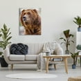 thumbnail image 2 of Stupell Industries Brown Bear Portrait Animals & Insects Photography Gallery Wrapped Canvas Print Wall Art, 30 x 40, 2 of 7
