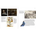 thumbnail image 3 of Maria Sibylla Merian: Artist, Scientist, Adventurer, 3 of 9