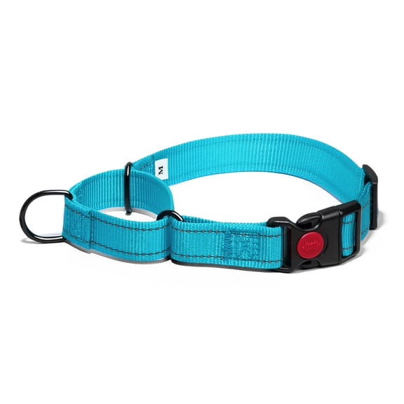 GASTROPOD 2 Packs Martingale Dog Collar with Quick Release Buckle Reflective Dog Training Collars for Small Medium Large Dogs (Large, Turquoise/Turquoise)