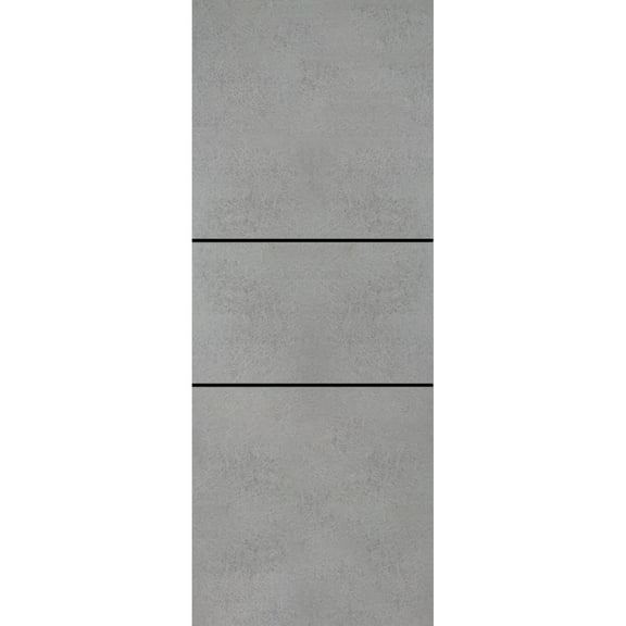 Slab Barn Door Panel 18 x 80 inches | Planum 0014 Concrete with Frosted Glass | Sturdy Finished Interior Doors | Pocket Closet Sliding