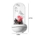 thumbnail image 3 of Campana Para Cocina Night Light Mist Diffusers Light Aroma Diffuser Everlasting Flower LED Rose Humidifier Silk Rose Flower Lamp Diffuser Rose Eternal Flower, 3 of 6