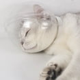 thumbnail image 1 of Cat Hood, Adjustable Cat Muzzle Transparent Odorless  for Nail Clipping, 1 of 7