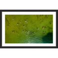 thumbnail image 2 of Marmont Hill "Green Water" By Karolis Janulis Framed Painting Art Print, 36.0" x 1.5", 2 of 5
