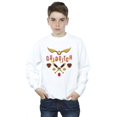 thumbnail image 2 of Harry Potter Boys Quidditch Golden Snitch Sweatshirt, 2 of 3