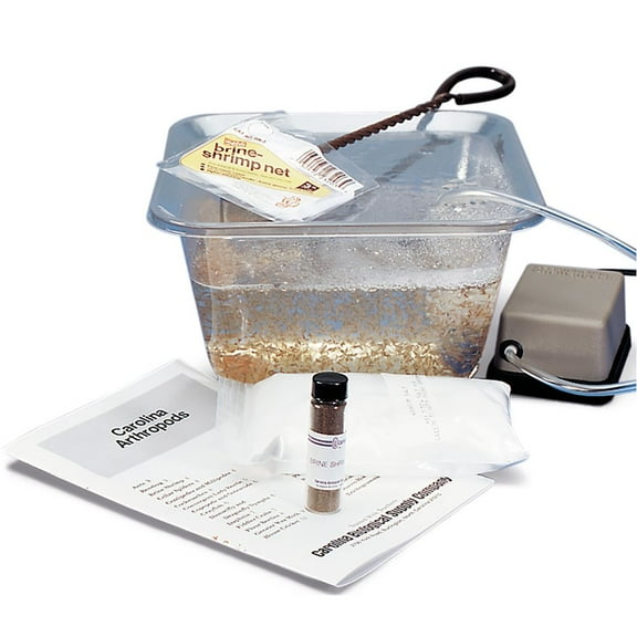All-In-One Brine Shrimp Hatchery Kit