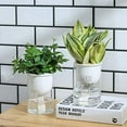 thumbnail image 4 of Visland 2Pcs Self Watering Planter, African Violet Pots, Flower Plant Pot for Various Plants / Flowers / Succulent Plants, 4 of 7