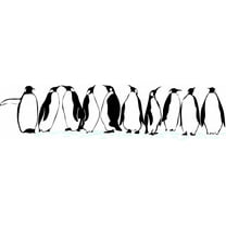 Do It Yourself Wall Decal Sticker Penguins Animals Kids Boy Girl Bedroom 16x26"