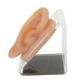 Silicone Ear Model Simulated Ear Model Acupuncture Practice Tool with