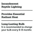thumbnail image 5 of Vibrant Life Nighttime Heat Bulb for Reptiles, 75 Watts, 5 of 8