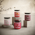 thumbnail image 3 of Candle-Lite Apple Cinnamon Crisp Scented Candles Set, Aromatherapy, 2 Pack 6.5 oz Single-Wick Jar, 40 Hours of Burn Time, Perfect for Gifting and Celebration (Individual Box), 3 of 3