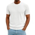 thumbnail image 1 of FOPSUFGWFO Men's T-Shirts Short Sleeve Knit Casual Tops Solid Color Soft Loose Fit Pullover Crew Neck Blouses For Work Gym XL, 1 of 3