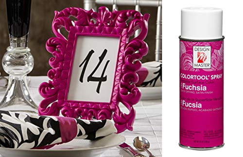 Design Master Colortool 12oz Fuchsia